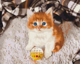 Obraz Malowanie po numerach - Rozbawiony kotek (BS52620)