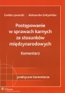 Postępowanie w sprawach karnych ze stosunków międzynarodowych Komentarz