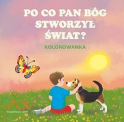 Po co Pan Bóg stworzył świat Kolorowanka - Agata Ziobro