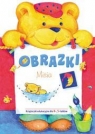 Obrazki misia Książeczki edukacyjne dla 4-, 5-latków Krassowska Dorota