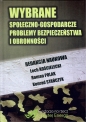 Wybrane społeczno-gospodarcze problemy bezpieczeństwa i obronności