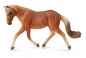 Klacz haflinger (004-88519)