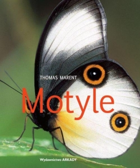 Motyle - Marent Thomas