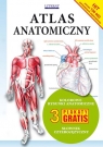 Atlas anatomiczny