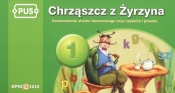 Chrząszcz z Żyrzyna 1 Doskonalenie sluchu fonemowego, poprawnego czytania i pisania