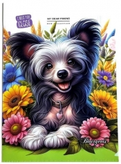 Teczka A4+ plastikowa koszulka L Piesek