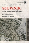 Słownik nazw miejscowości Śląska polsko-niemiecki i niemiecko-polski Choroś Monika, Jarczak Łucja, Sochacka Stanisława