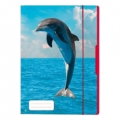 Teczka rysunkowa A4 z gumką Delfin (50001613)