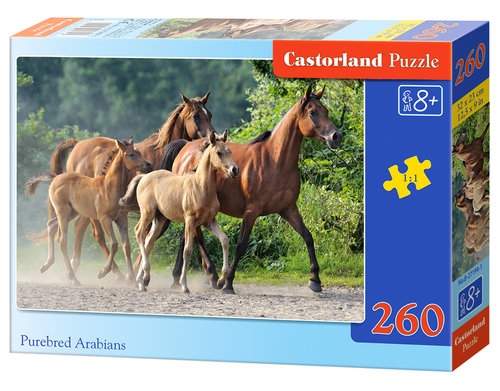 Puzzle Purebred Arabians 260 (27194)