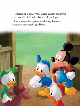 Ulubione historie. Na wsi. Disney - Praca zbiorowa