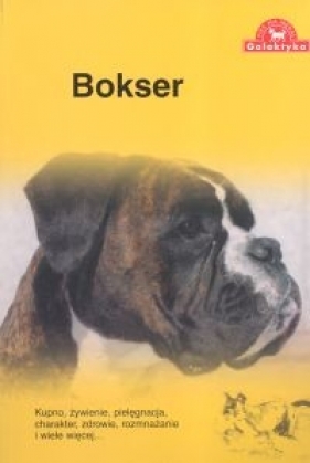 Bokser - Dieren Over