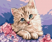 Obraz Paint it! Malowanie po numerach. Błękitnooki kot (BS29696)