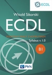 ECDL Podstawy pracy z komputerem - Sikorski Witold