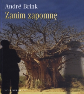 Zanim zapomnę - André Brink