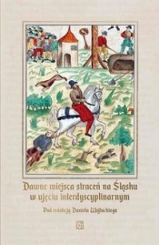 Dawne miejsca straceń na Śląsku w ujęciu interdyscyplinarnym - Daniel Wojtucki