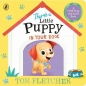 Theres a Little Puppy in Your Book - Tom Fletcher
