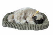 Śpiący pies na poduszce - Mops (107196)