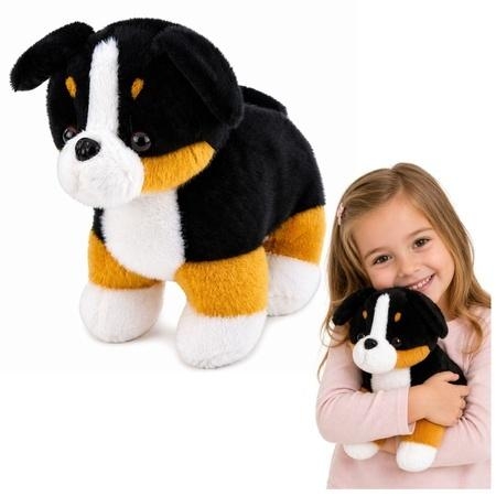 Berneńczyk pluszowy 30cm