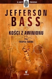 Kości z Awinionu