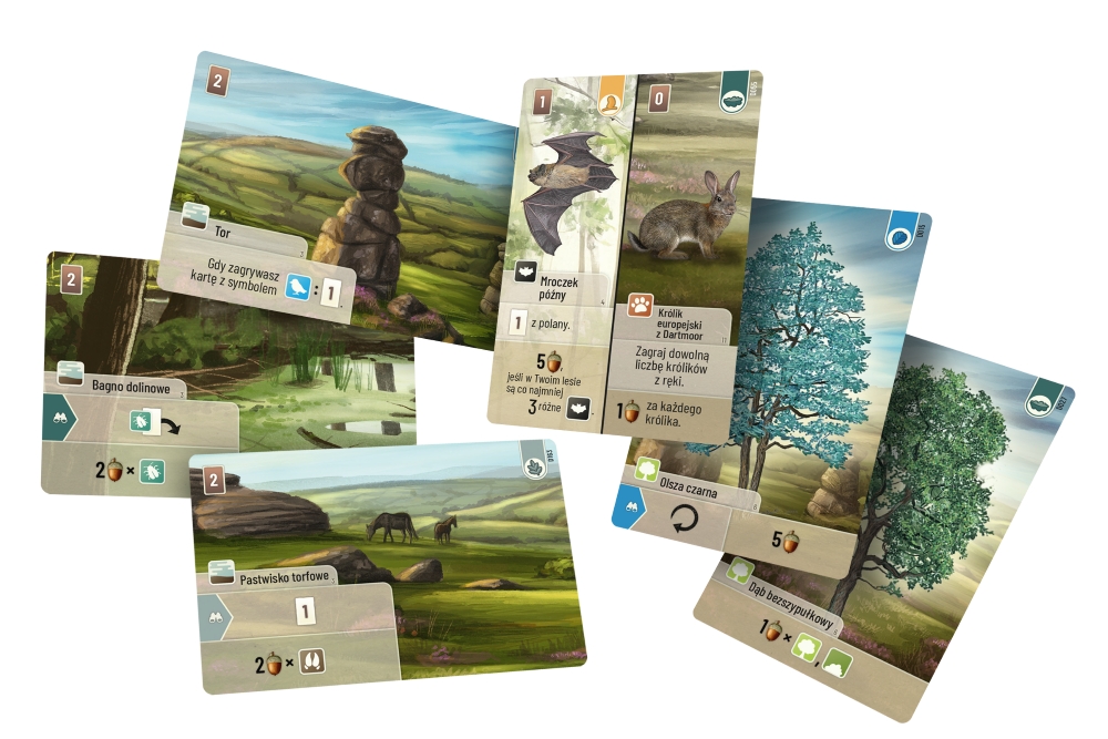 Leśne rozdanie: Dartmoor