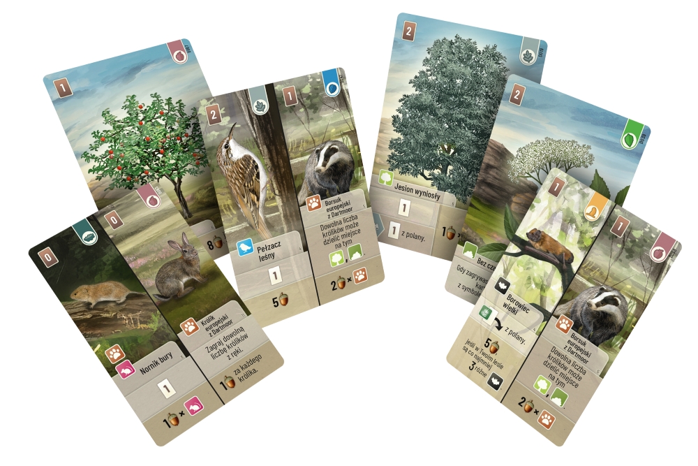 Leśne rozdanie: Dartmoor