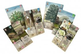 Leśne rozdanie: Dartmoor