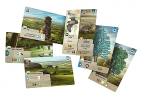 Leśne rozdanie: Dartmoor