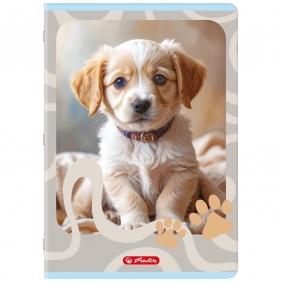 Zeszyt Herlitz Standard Animals A4/32k kratka z marginesem, 1 szt