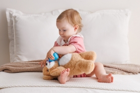 Dumel Discovery, Niedźwiadek brunatny