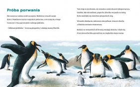 Akademia mądrego dziecka. Elwirka na śnieżnej pustyni - Ewa Nowak, Ewa Nowak