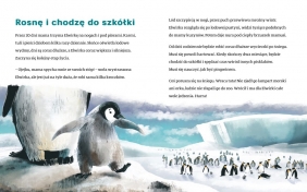 Akademia mądrego dziecka. Elwirka na śnieżnej pustyni - Ewa Nowak, Ewa Nowak