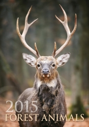 Kalendarz 2015 Leśne zwierzęta Helma ST - <br />
