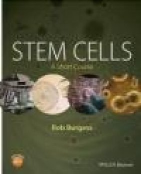 Stem Cells Rob Burgess