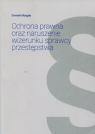 Ochrona prawna oraz naruszenie wizerunku sprawcy przestępstwa Morgała Dominik