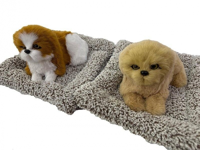 <img src='https://webimage.pl/pics/198/1/d5901271621015.jpg'>