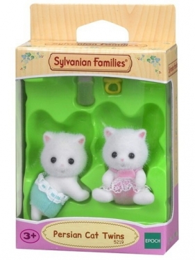 Bliźniaki kotków perskich (5219)