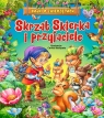 Skrzat Skierka i przyjaciele Wojciechowska-Dudek Beata