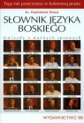 Słownik języka boskiego z płytą CD Gwiazdy o ważnych sprawach Sowa Kazimierz