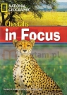 FRL Cheetahs in focus +CD-ROM (lev.2200)