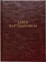  Liber baptistatorum