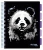 Kołozeszyt Strigo Pads Project Book A4 linia - Panda