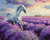 Malowanie po numerach - W lawendowych polach 40x50
