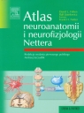 Atlas neuroanatomii i neurofizjologii Nettera Felten David L., Józefowicz Frank H.