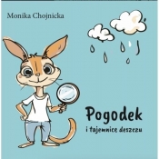 Pogodek i tajemnice deszczu - Monika Chojnicka