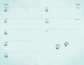 Kalendarz 2023. Słynne koty