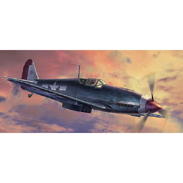 HASEGAWA Tony 