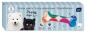 Farby plakatowe Puppy Sign 20ml, 12 kolorów