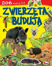 Zwierzęta budują - Robert Dzwonkowski