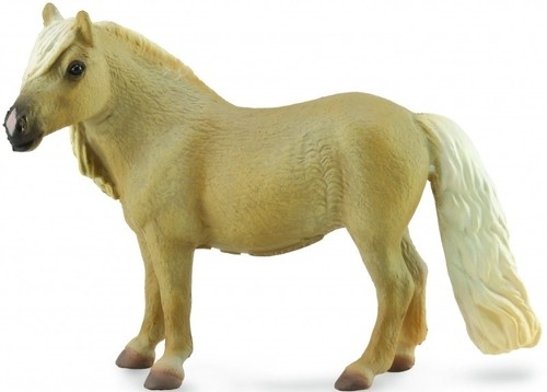 Klacz Falabella Mare Palomino