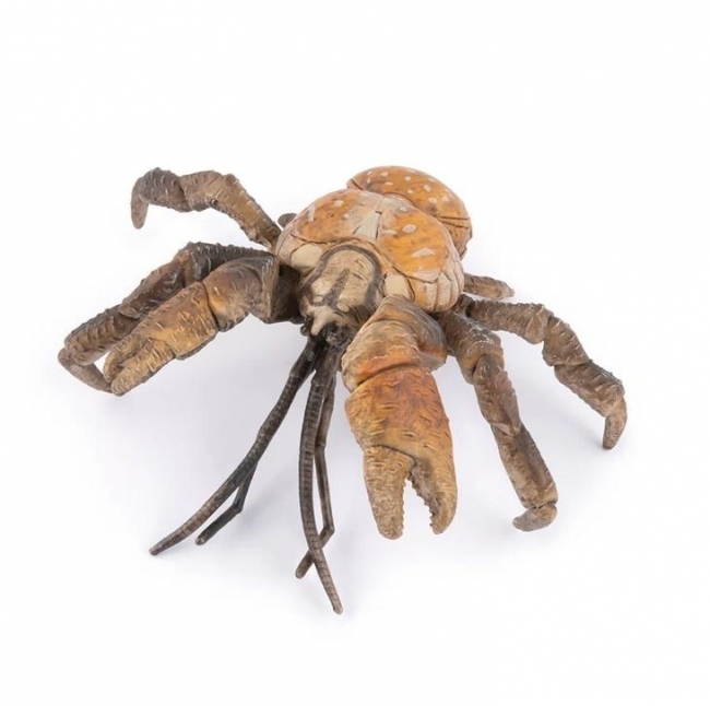 Krab palmowy